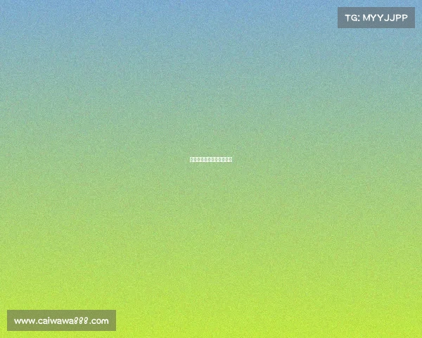 河北保定电子竞技王者荣耀